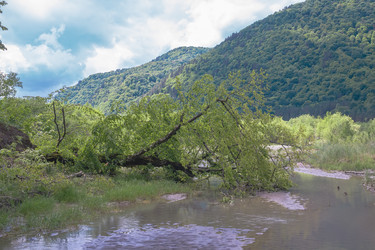 Similar image 6343890