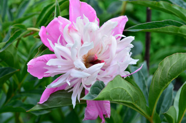 Similar image 6343898