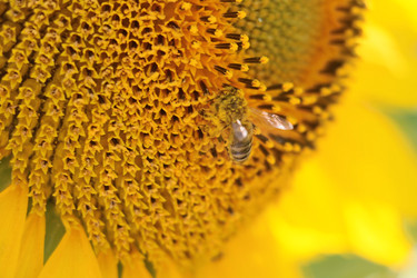 Similar image 6343902