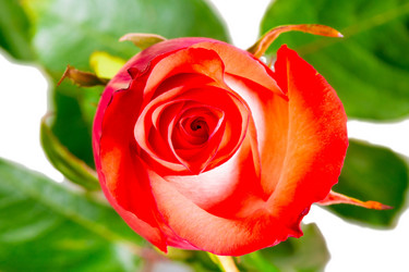 Similar image 6344117