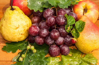 Similar image 6344253