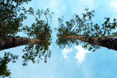 Similar image 6344264