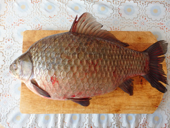 Similar image 6344265