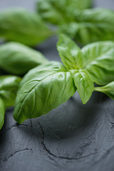 Similar image 6344411