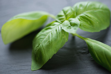 Similar image 6344419