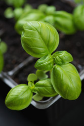 Similar image 6344443