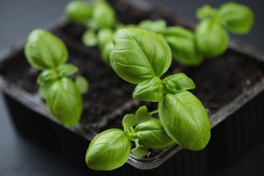 Similar image 6344461