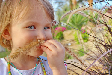 Similar image 6344623