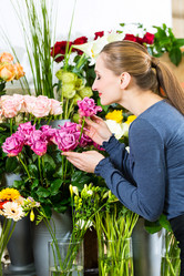 Similar image 6345225