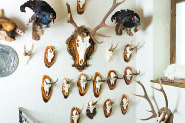 Similar image 6345308