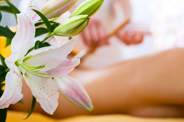 Similar image 6345360