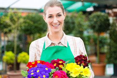 Similar image 6345431