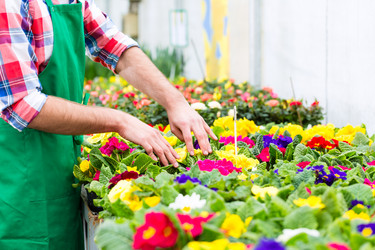 Similar image 6345441