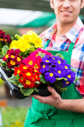 Similar image 6345457