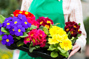 Similar image 6345458