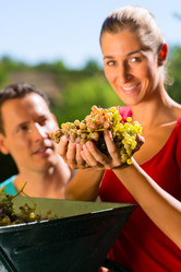 Similar image 6345707