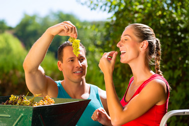 Similar image 6345722