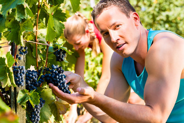 Similar image 6345726