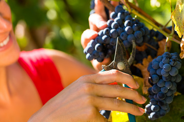 Similar image 6345728