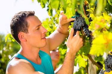 Similar image 6345730