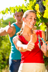 Similar image 6345734