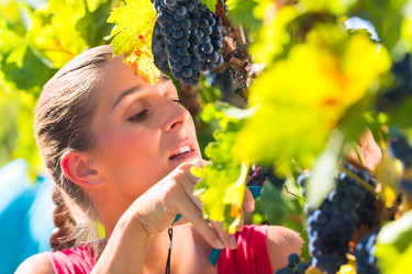 Similar image 6345738