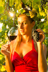 Similar image 6345773