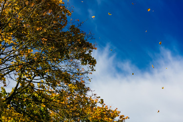 Similar image 6345989