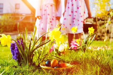 Similar image 6347272