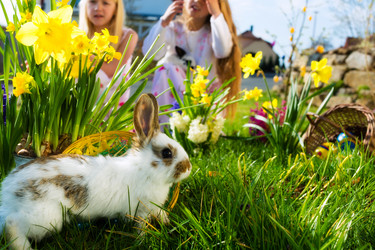 Similar image 6347273