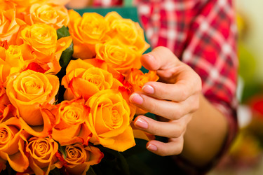 Similar image 6348407