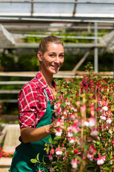 Similar image 6348409