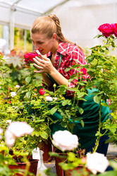 Similar image 6348446