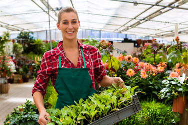 Similar image 6348455