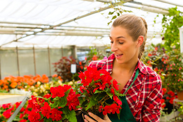 Similar image 6348500