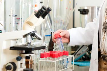 Similar image 6349284