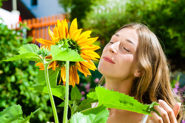 Similar image 6350250