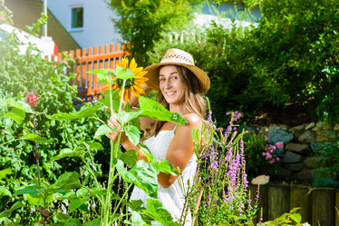 Similar image 6350254