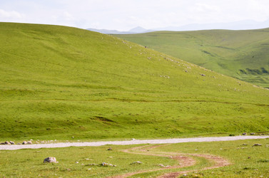 Similar image 6350548