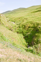 Similar image 6350553