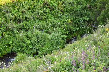 Similar image 6350570