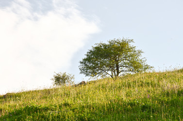 Similar image 6350573