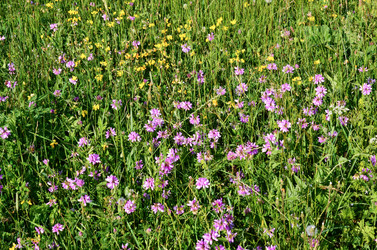 Similar image 6350574