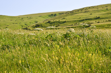 Similar image 6350576