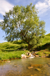 Similar image 6350577