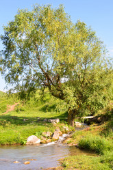 Similar image 6350578