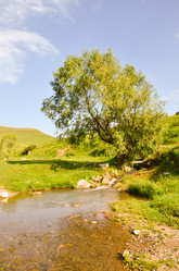 Similar image 6350579