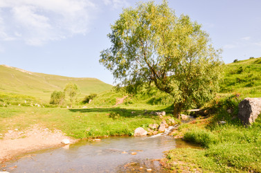 Similar image 6350580