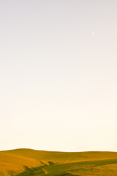 Similar image 6350589