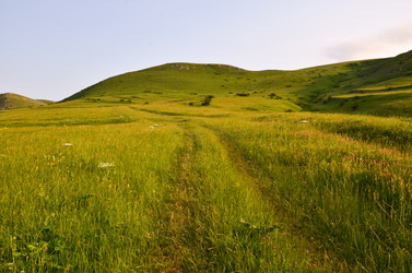 Similar image 6350597